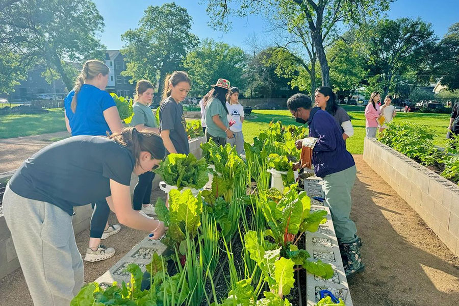 People working in the Community Garden