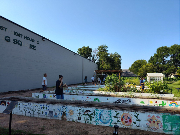 Nurturing refugia at the 9th and James Fellowship Garden in the Baylor Community Gardens program—seeing the fruits of composting! 