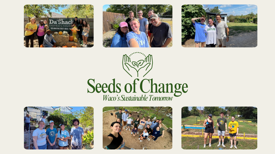 Seeds of Change Homepage