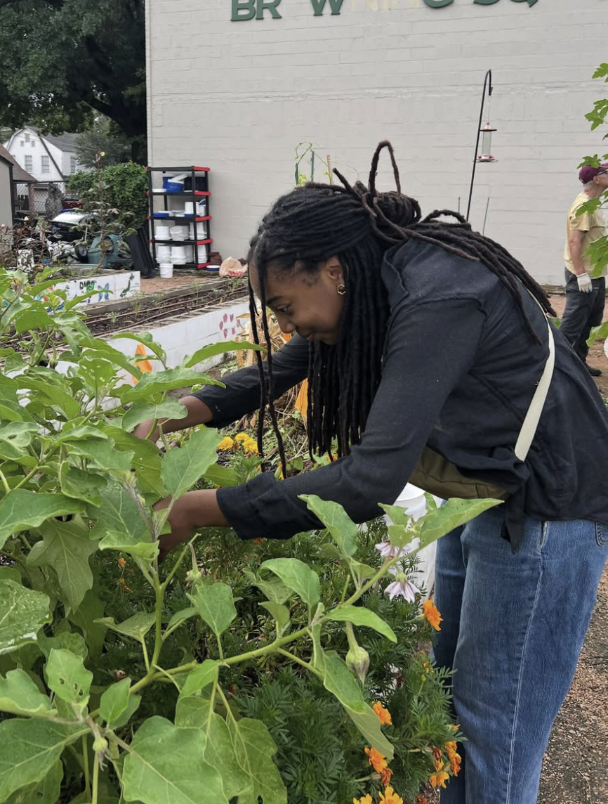 Student tending Baylor Community Gardens