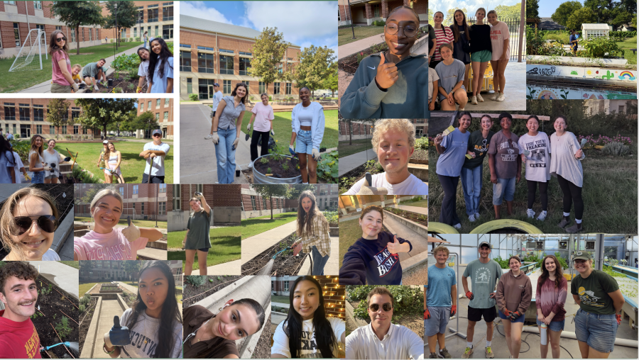 Pictures of Literature and Environmental Justice Students Cultivating Refugia in 2025