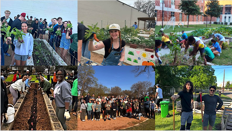 Garden Volunteer Image