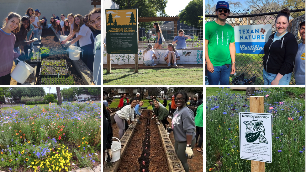 Baylor Community Garden Composite May 2025
