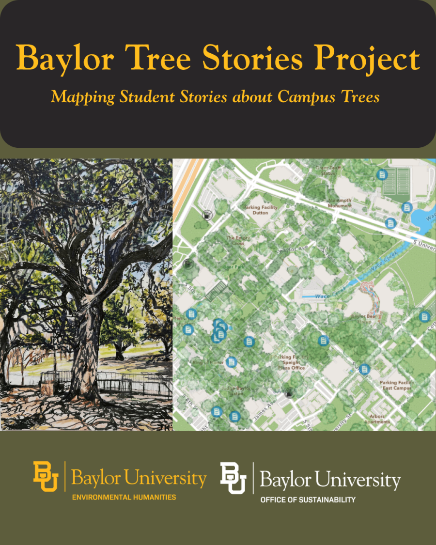 Baylor Tree Stories Project
